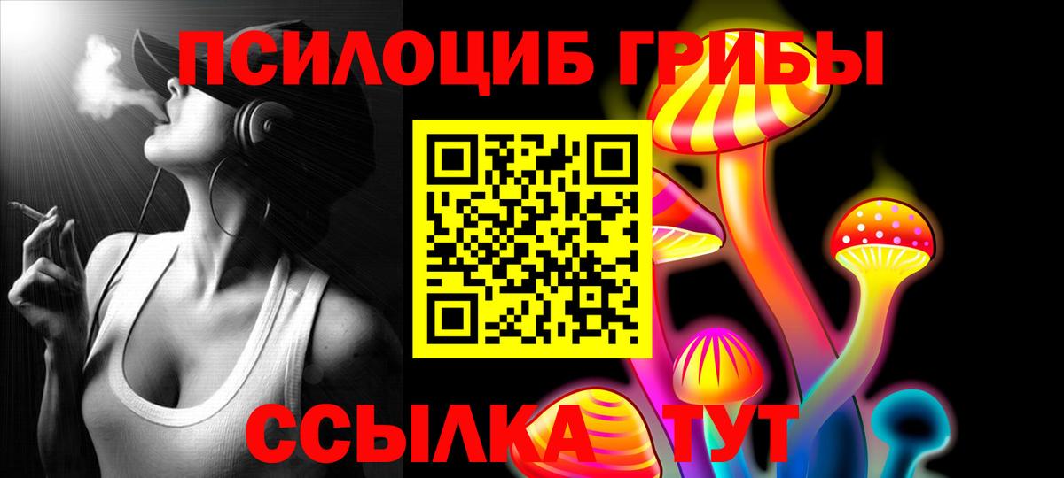 Псилоцибиновые грибы мицелий  наркота  Вход с VPN  Ишимбай  Псилоцибиновые грибы Psilocybine cubensis 